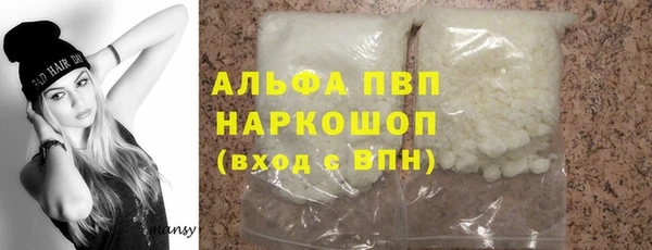 хмурый Арсеньев