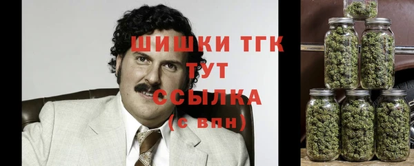 хмурый Арсеньев
