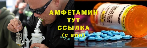 хмурый Арсеньев