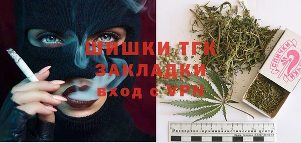 хмурый Арсеньев
