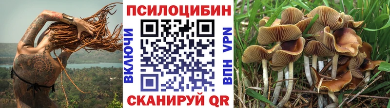 Галлюциногенные грибы прущие грибы  Чистополь 